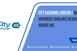 City Exchange Careers