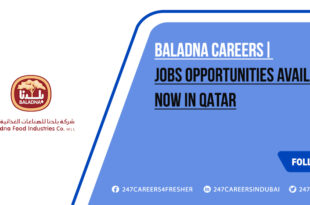 Baladna Careers