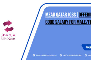 Mzad Qatar Jobs