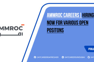 AMMROC Careers