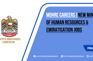 MOHRE Careers